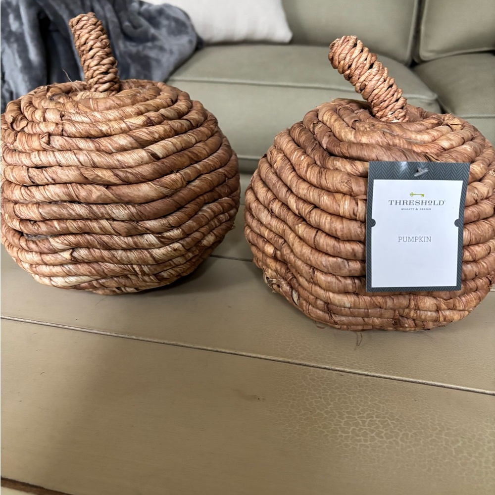 Pair of thresholds pumpkins new
